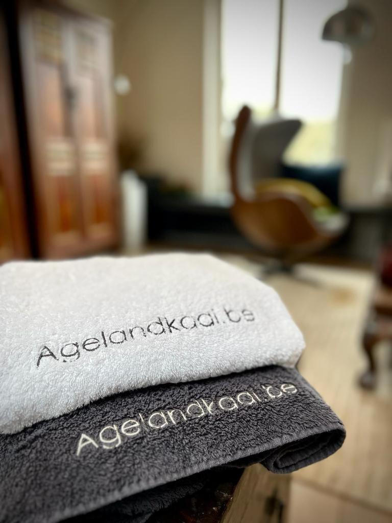 ヘントAgelandkaaiアパートメント エクステリア 写真